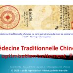 Module perfectionnement auriculothérapie